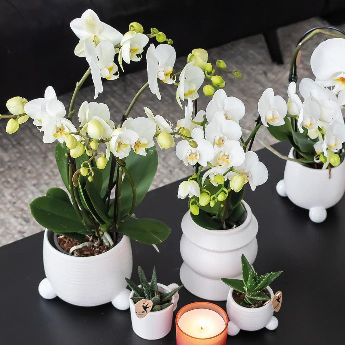 Kolibri Home | Rollender weißer Blumentopf - weißer Keramik-Ziertopf - Ø9cm - grüne-wurzel