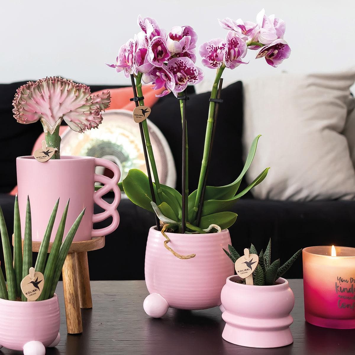 Kolibri Home | Rolling pink flowerpot - pink ceramic ornamental pot - Ø6cm - grüne-wurzel