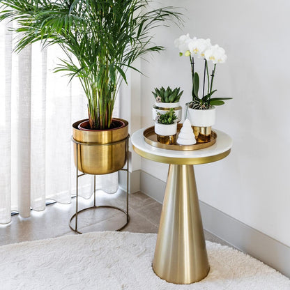 Komplettes Pflanzenset Luxury gold | Grünes Pflanzenset mit weißer Phalaenopsis-Orchidee und Sukkulenten inkl. goldenen Keramik-Ziertöpfen & Weihnachtsbaum-Accessoire - grüne-wurzel