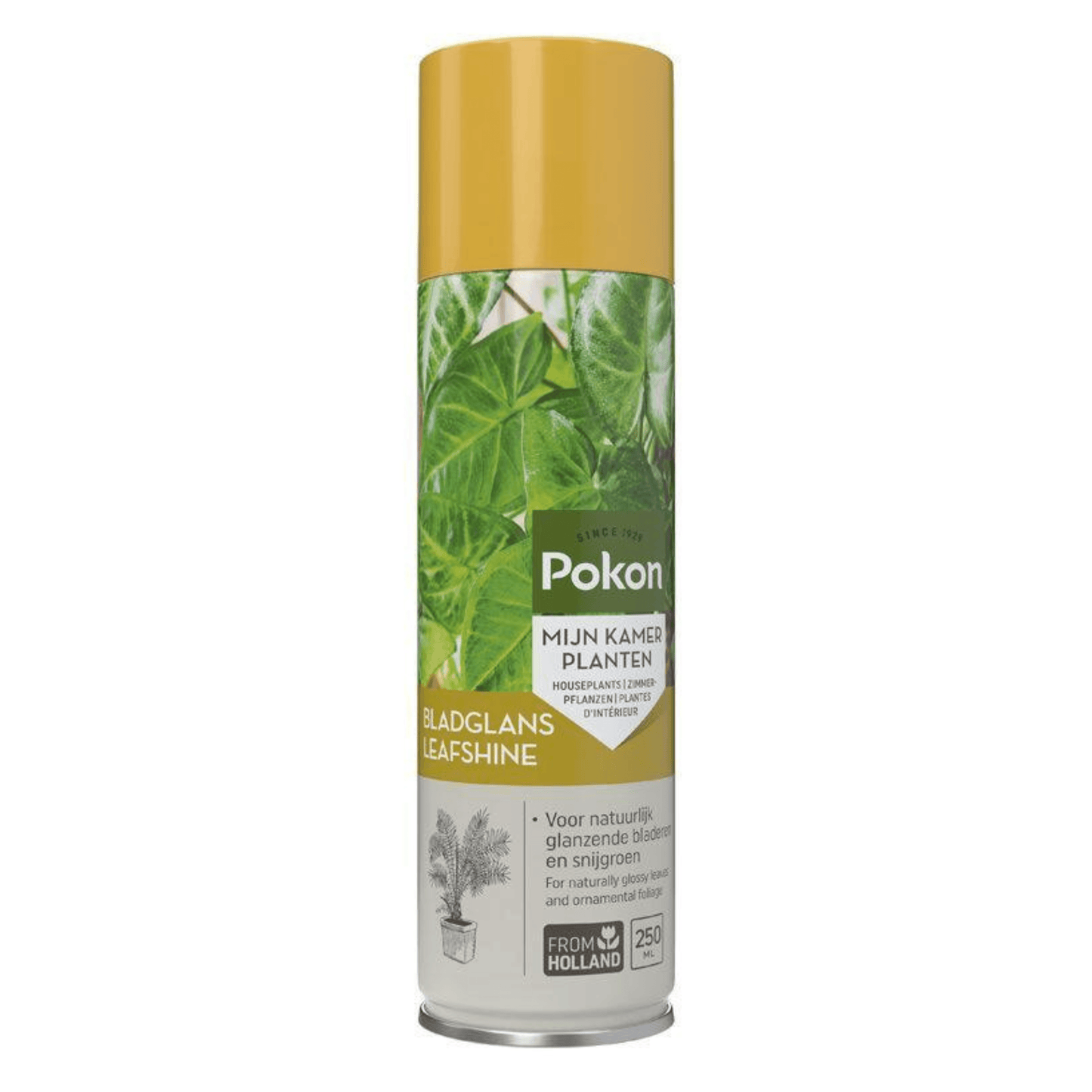 Pokon Pflanzenblatt-Glanzspray 250ml – Schutz & Schimmer für Grünpflanzen - grüne-wurzel