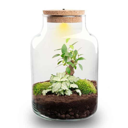 Pflanzen-Terrarium „Little Milky“ mit LED-Kork – Ø 17 cm, Höhe 25 cm