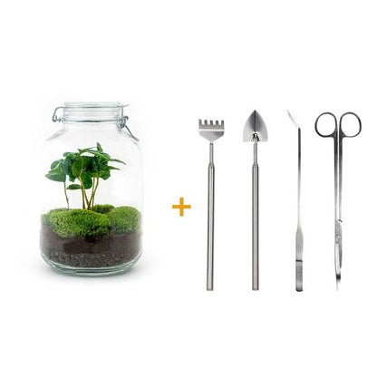 Flaschengarten H28cm Ø18cm Pflanzenterrarium Set mit Coffea Arabica Kaffeepflanze + Profi Werkzeugset Rechen Schaufel Pinzette Schere - DIY Terrarium