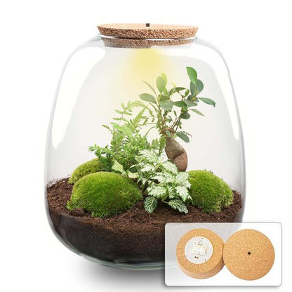 Pflanzenterrarium DIY Set H25cm LED Bonsai Weiß Design Modern Bonsai White