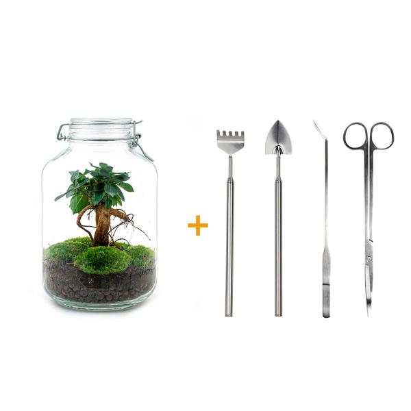 Flaschengarten H28cm Ø18cm Pflanzenterrarium Set mit Ficus Ginseng Bonsai + Profi Werkzeugset Rechen Schaufel Pinzette Schere - DIY Terrarium