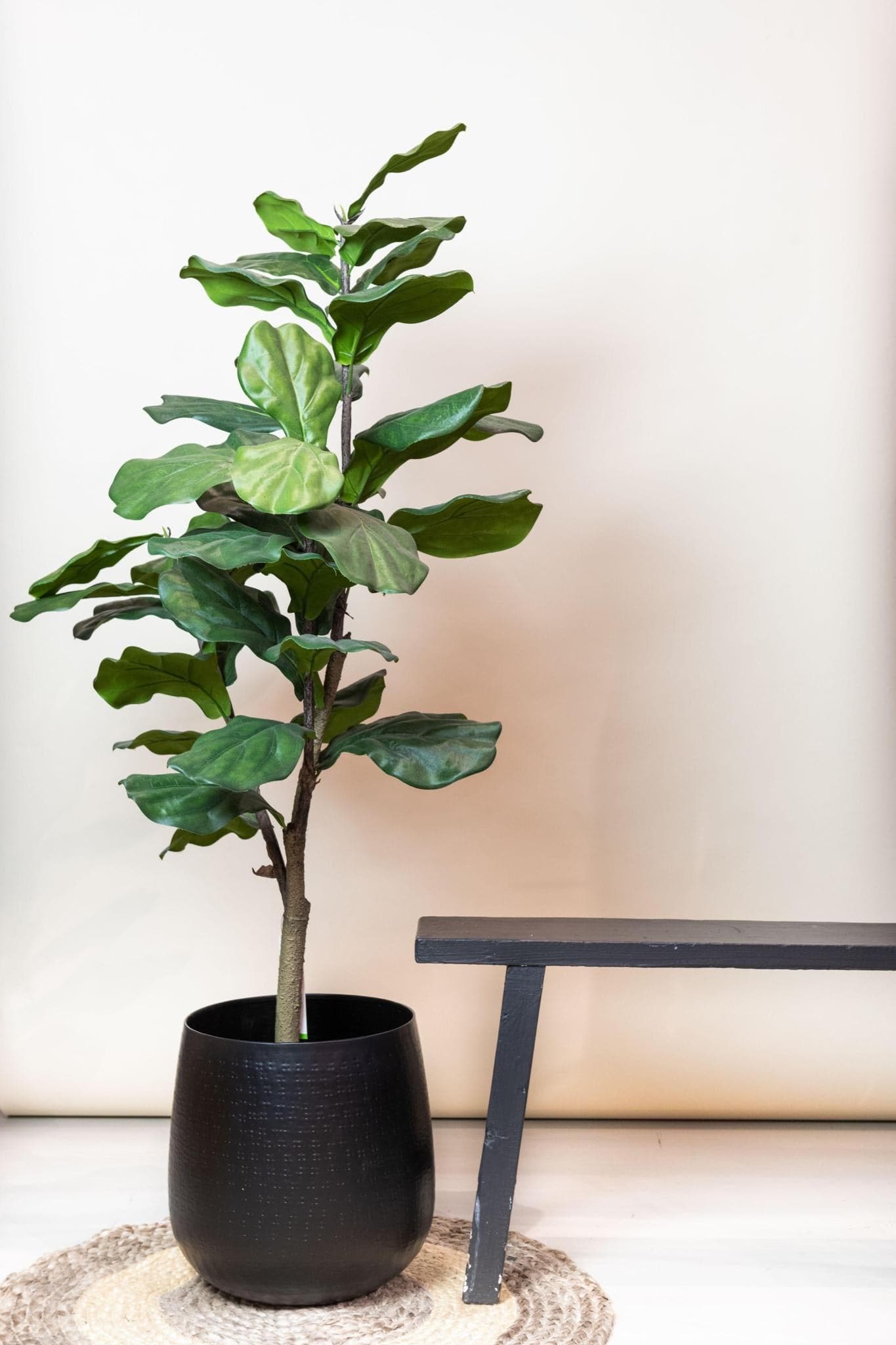 Kunstpflanze Ficus Lyrata - Tabakspflanze - 125 cm - Zimmerpflanze - Künstliche Pflanzen wie echt - grüne-wurzel