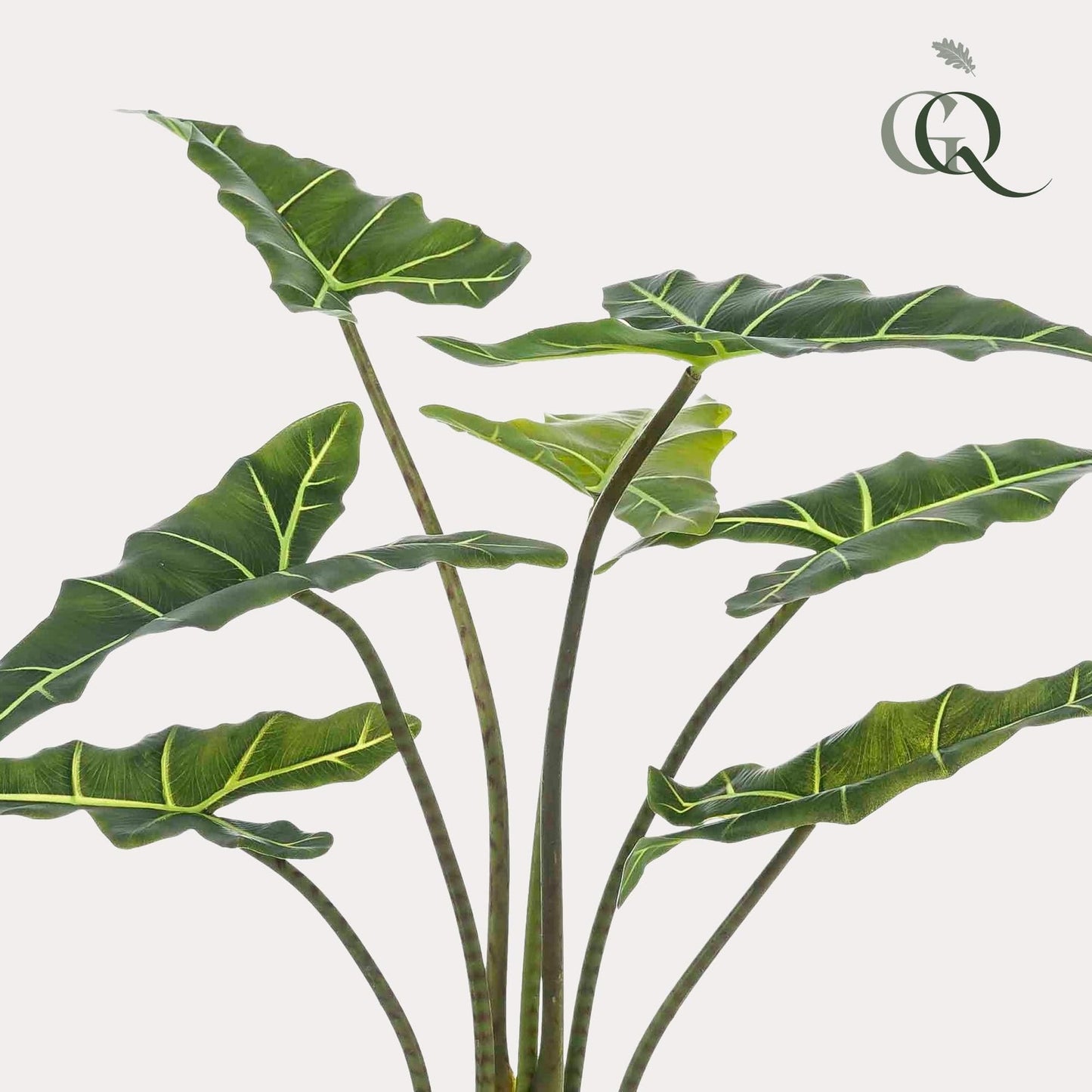 Kunstpflanze - Alocasia Frydek - 90 cm - Zimmerpflanze - künstliche Pflanzen wie echt - grüne-wurzel