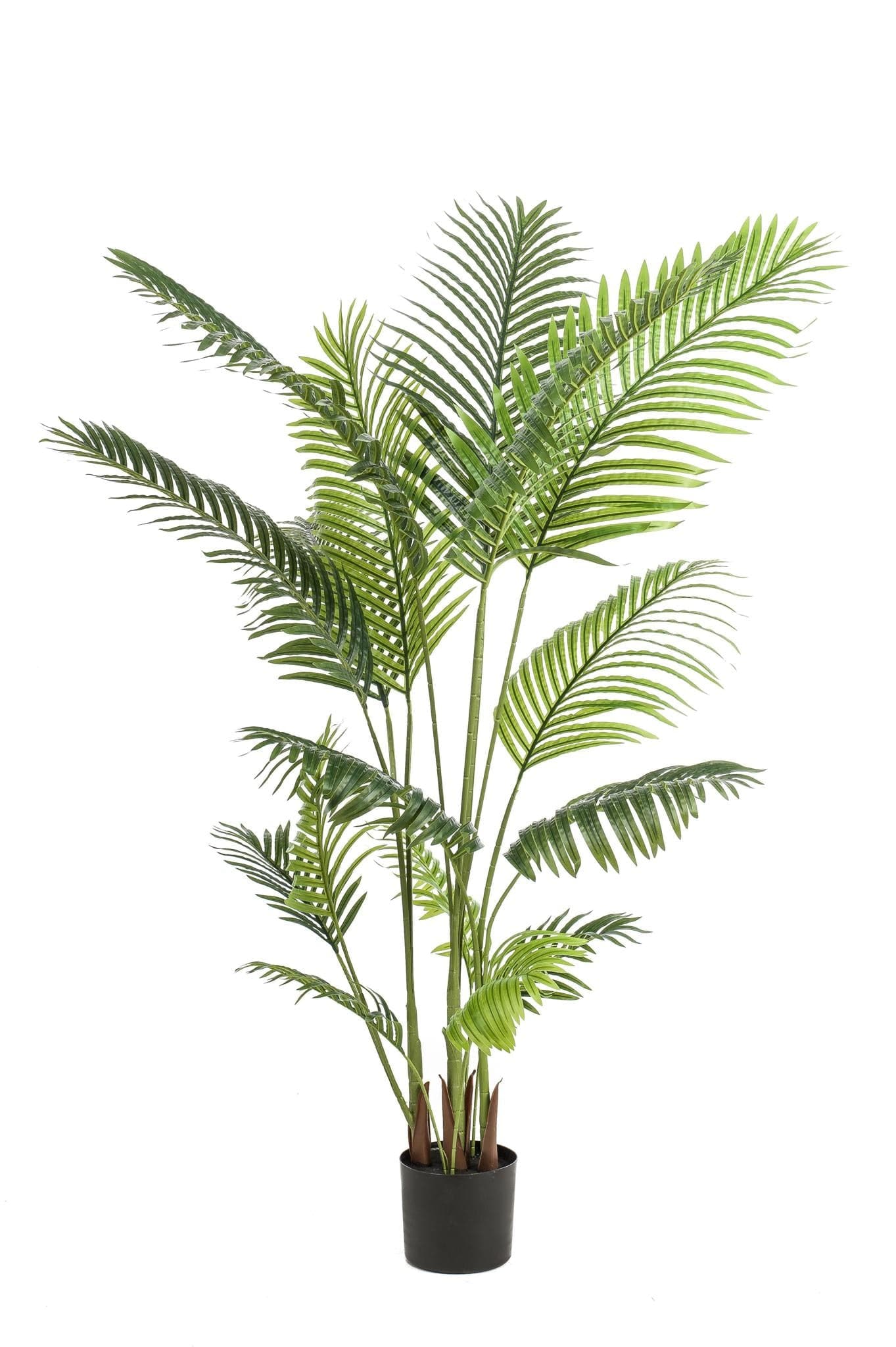 Kunstpflanze Howea Forsteriana - 160 cm - Zimmerpflanze - künstliche Pflanzen wie echt - grüne-wurzel