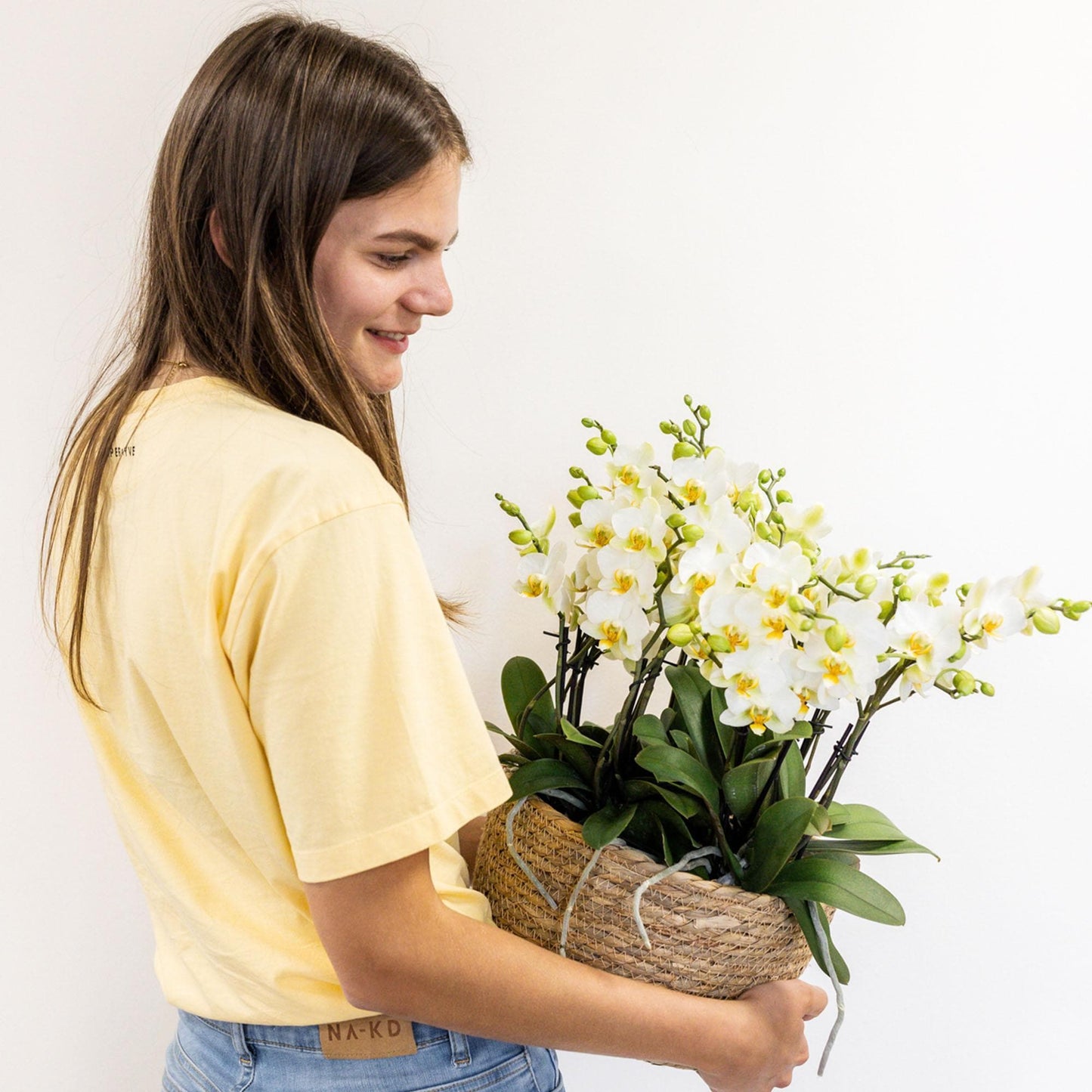 Kolibri Orchids | weißes Pflanzenset im Baumwollkorb inkl. Wassertank | drei weiße Orchideen Lausanne 9cm und drei Grünpflanzen Rhipsalis | Dschungelstrauß weiß mit autarkem Wassertank - grüne-wurzel