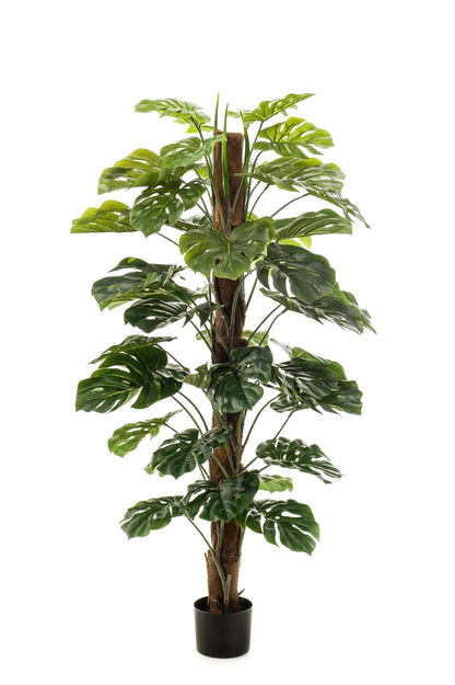 Kunstpflanze - Monstera Deliciosa - Löcherpflanze - 150 cm - Zimmerpflanze - künstliche Pflanzen wie echt - grüne-wurzel