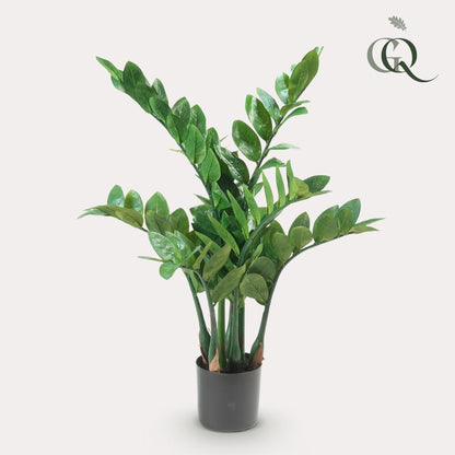 Kunstpflanze Zamioculcas - Zimmerpalme - 70 cm - Zimmerpflanze - künstliche Pflanzen wie echt - grüne-wurzel