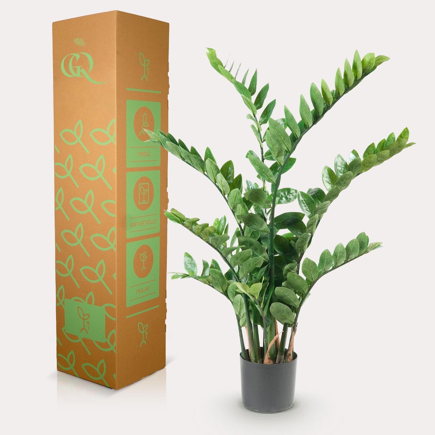 Kunstpflanze Zamioculcas - Zimmerpalme - 110 cm - künstliche Pflanzen wie echt - grüne-wurzel