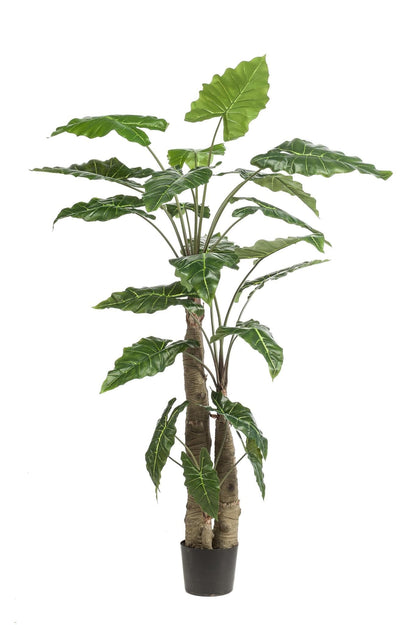 Kunstpflanze Alocasia - 180 cm - Zimmerpflanze - künstliche Pflanzen wie echt - künstliche Palme - grüne-wurzel