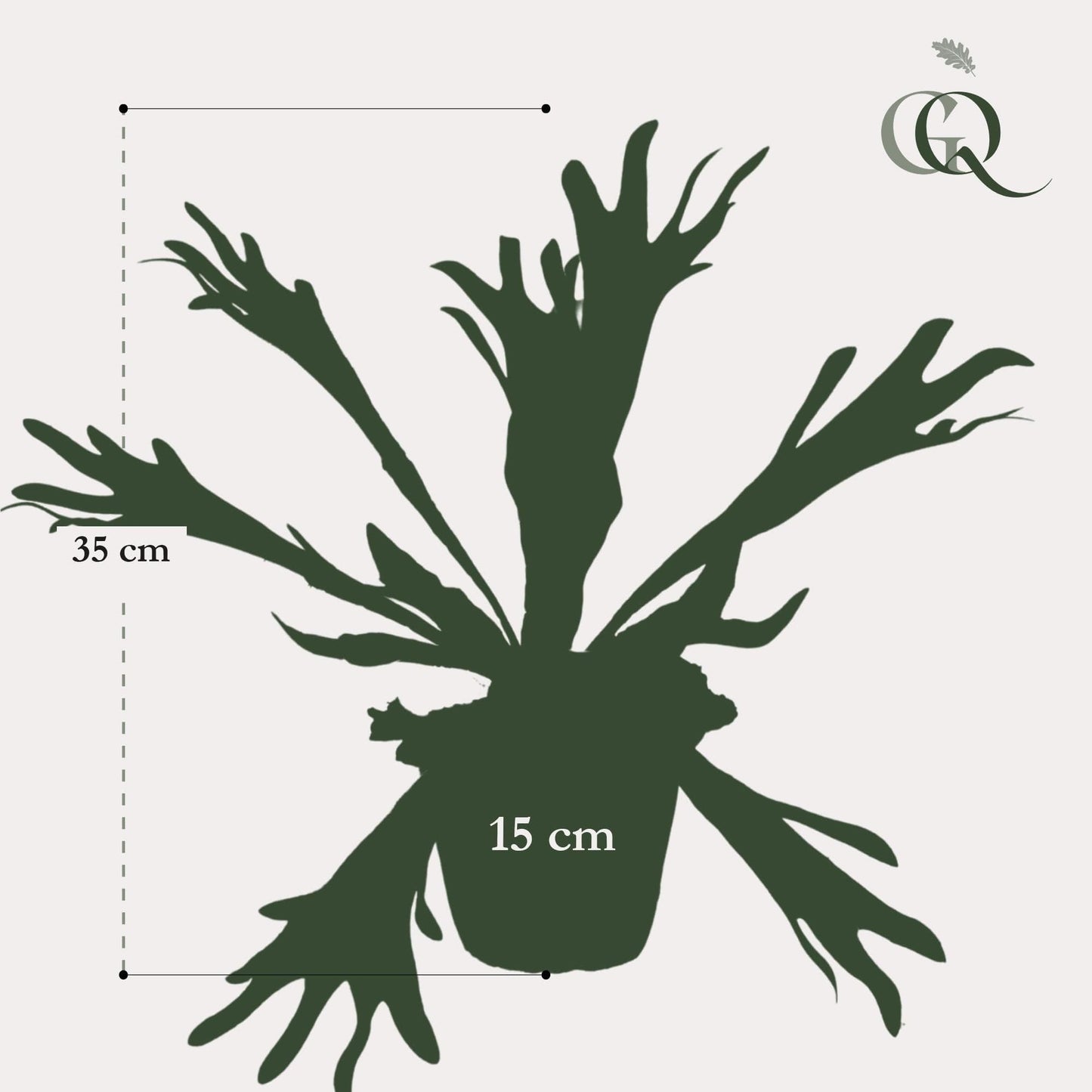 Kunstpflanze Staghorn Farn - Geweihfarn - 33 cm - Zimmerpflanze - künstliche Pflanzen wie echt - grüne-wurzel