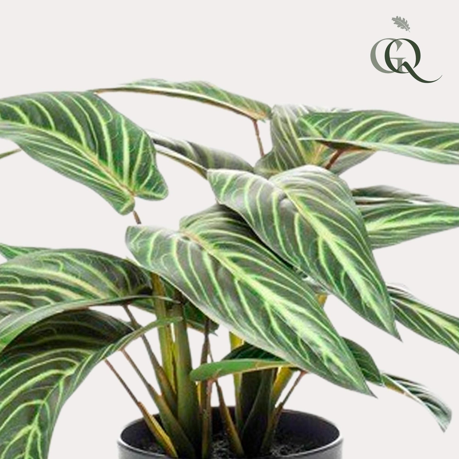 Calathea Zebrina Kunstpflanze - 38 cm - Zimmerpflanze - künstliche Pflanzen wie echt - grüne-wurzel