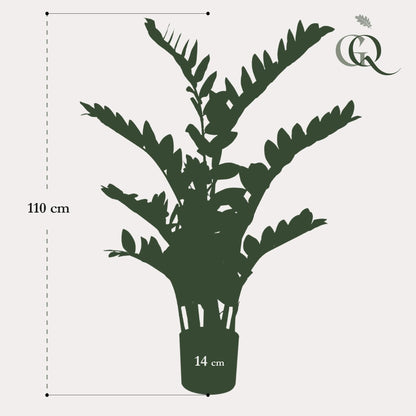 Kunstpflanze Zamioculcas - Zimmerpalme - 110 cm - künstliche Pflanzen wie echt - grüne-wurzel