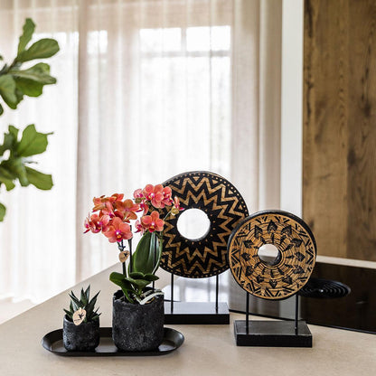 Kolibri Company | Pflanzenset Home Hub Small | Orange Phalaenopsis Orchidee Bolzano und Sukkulente inkl. Keramik-Zierpflanzgefäße auf schwarzem Tablett