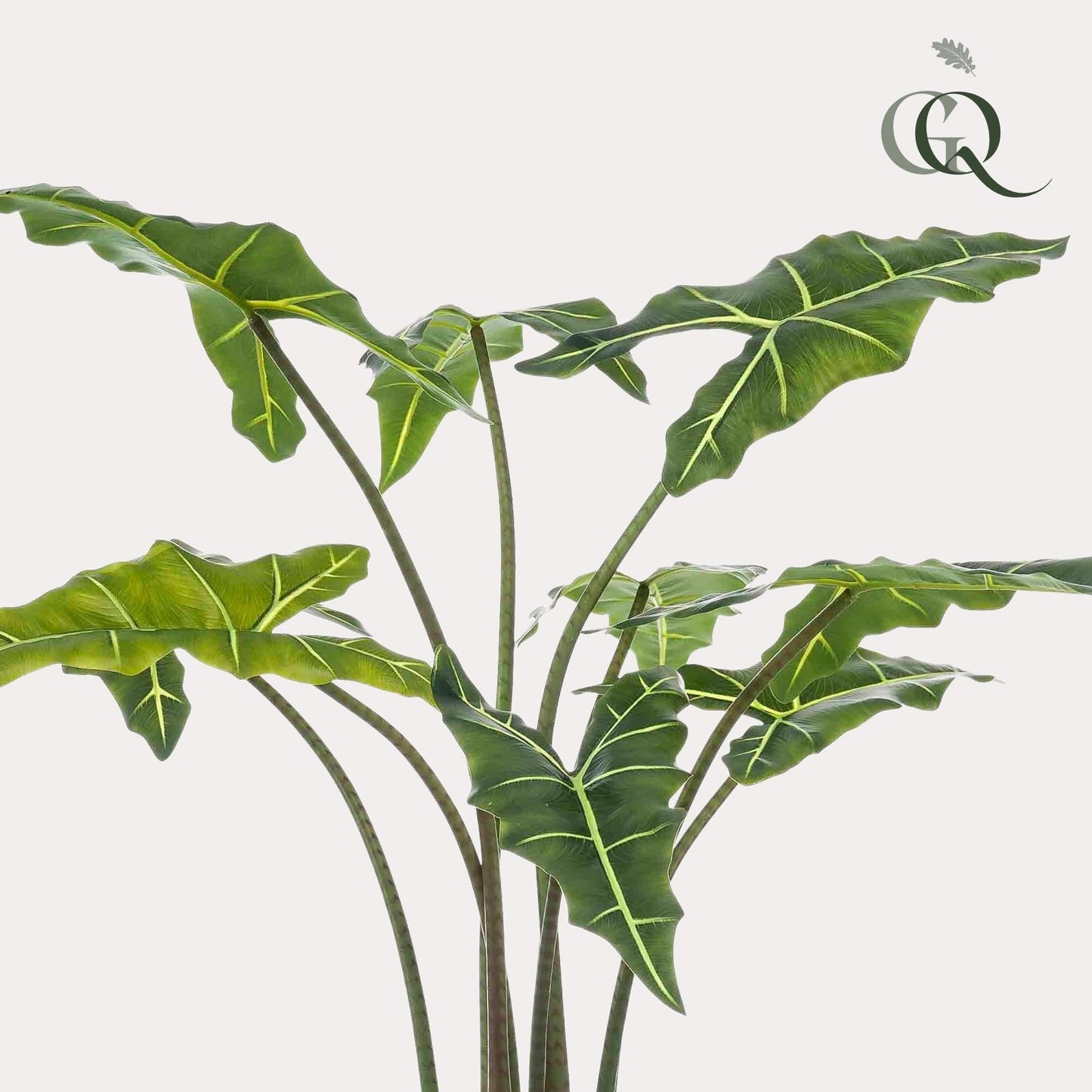 Kunstpflanze - Alocasia Frydek - 100 cm - Zimmerpflanze - künstliche Pflanzen wie echt - grüne-wurzel