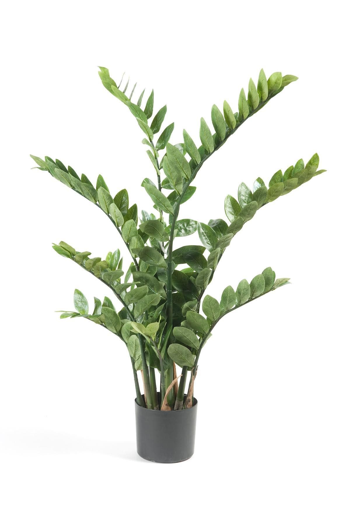 Kunstpflanze Zamioculcas - Zimmerpalme - 110 cm - künstliche Pflanzen wie echt - grüne-wurzel