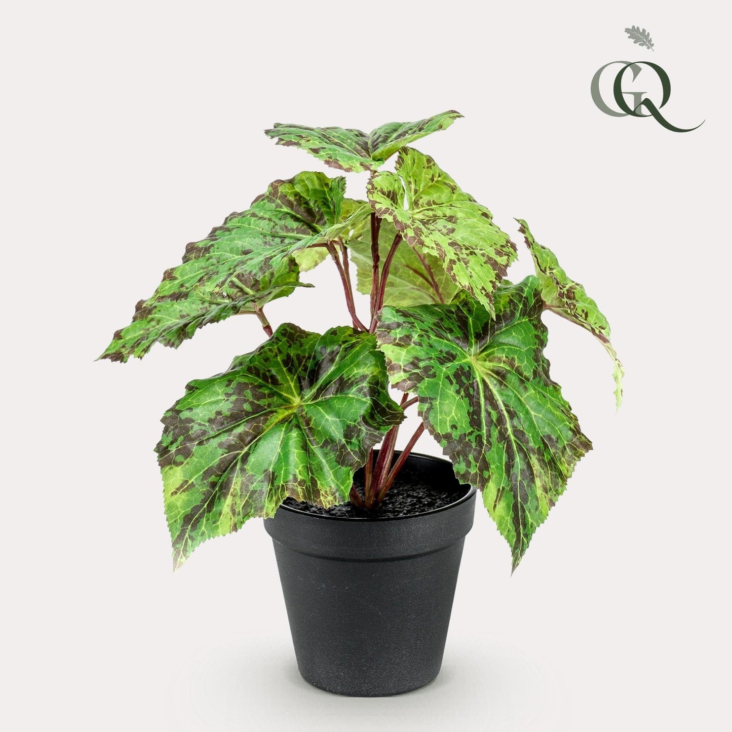 Begonia Rex Kunstpflanze - Königsbegonie - 25 cm - Zimmerpflanze -  künstliche Pflanze wie echt - grüne-wurzel