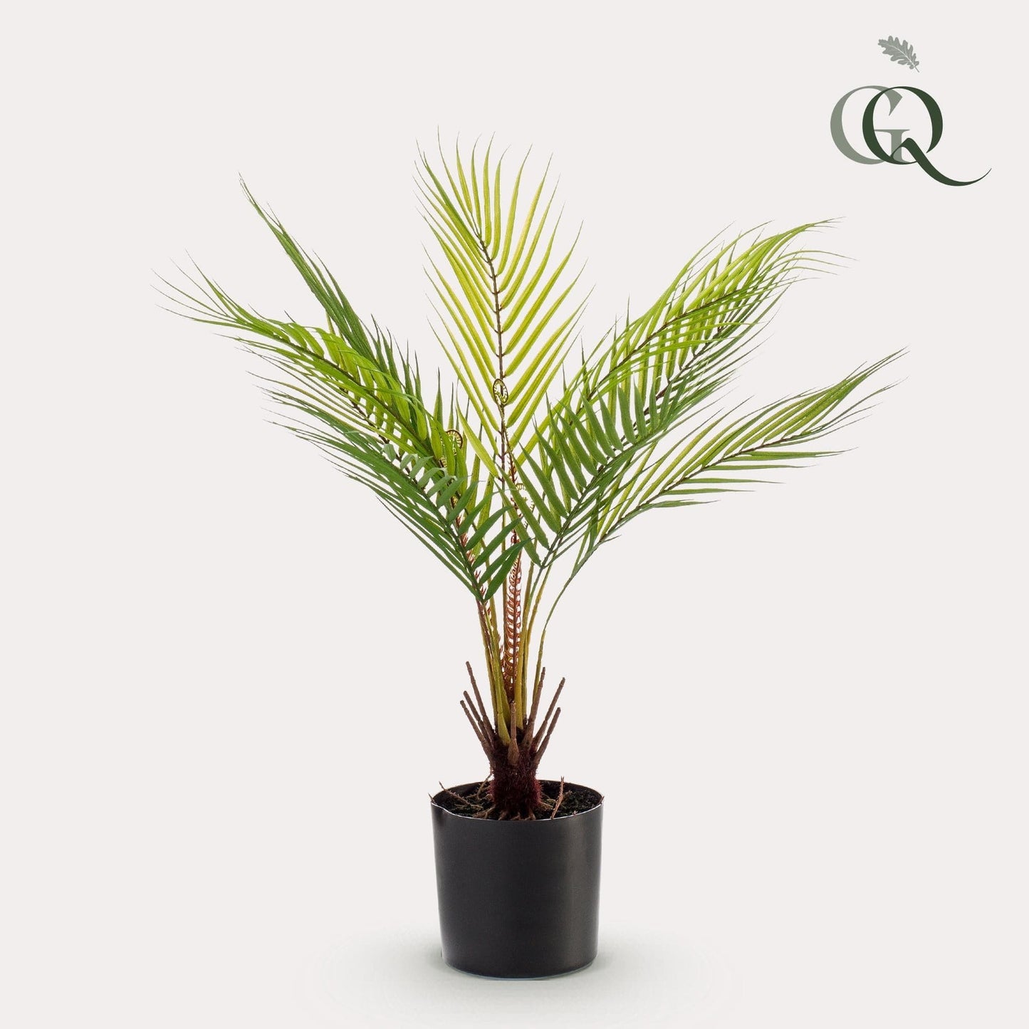 Kunstpflanze - Chamaedorea Elegans - Bergpalme - 50 cm - Kunstpalme - Zimmerpflanze - künstliche Pflanzen wie echt - grüne-wurzel