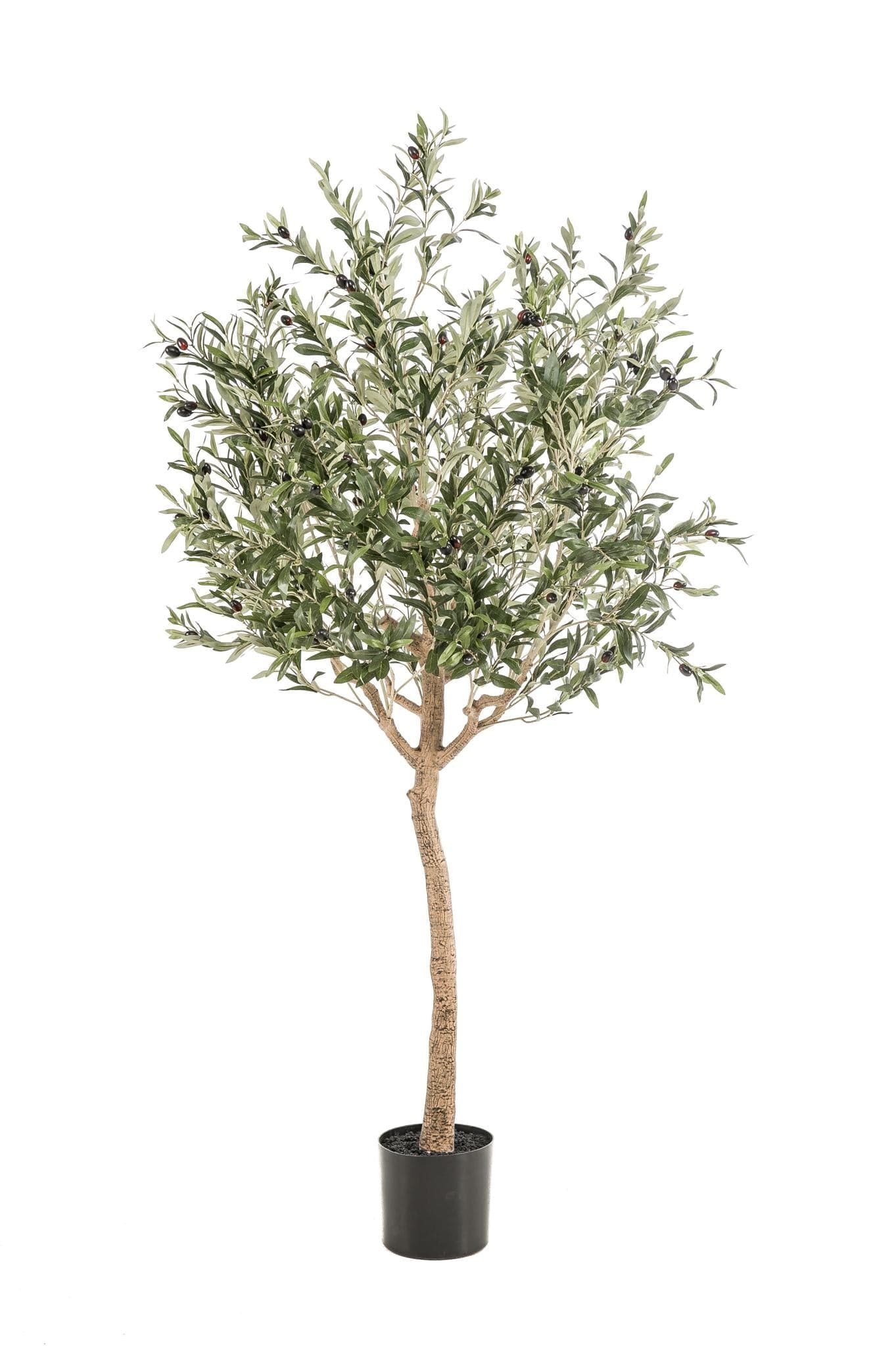 Kunstpflanze Olea Europaea - Olivenbaum - 180 cm - Zimmerpflanze - Künstliche Pflanzen wie echt - grüne-wurzel