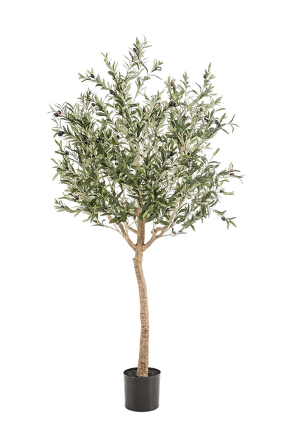 Kunstpflanze Olea Europaea - Olivenbaum - 180 cm - Zimmerpflanze - Künstliche Pflanzen wie echt - grüne-wurzel