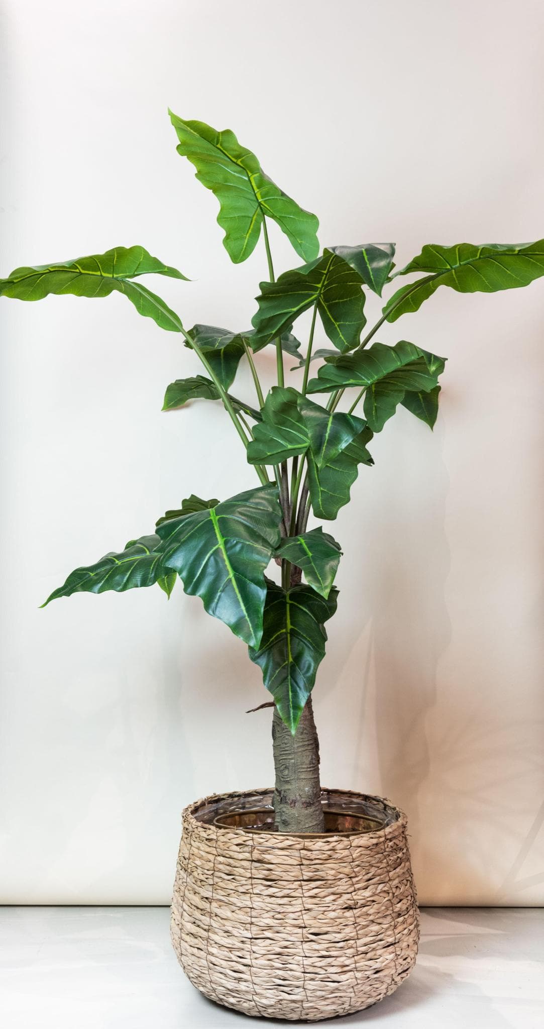 Kunstpflanze - Alocasia Frydek - 150 cm - Zimmerpflanze - künstliche Pflanzen wie echt - grüne-wurzel