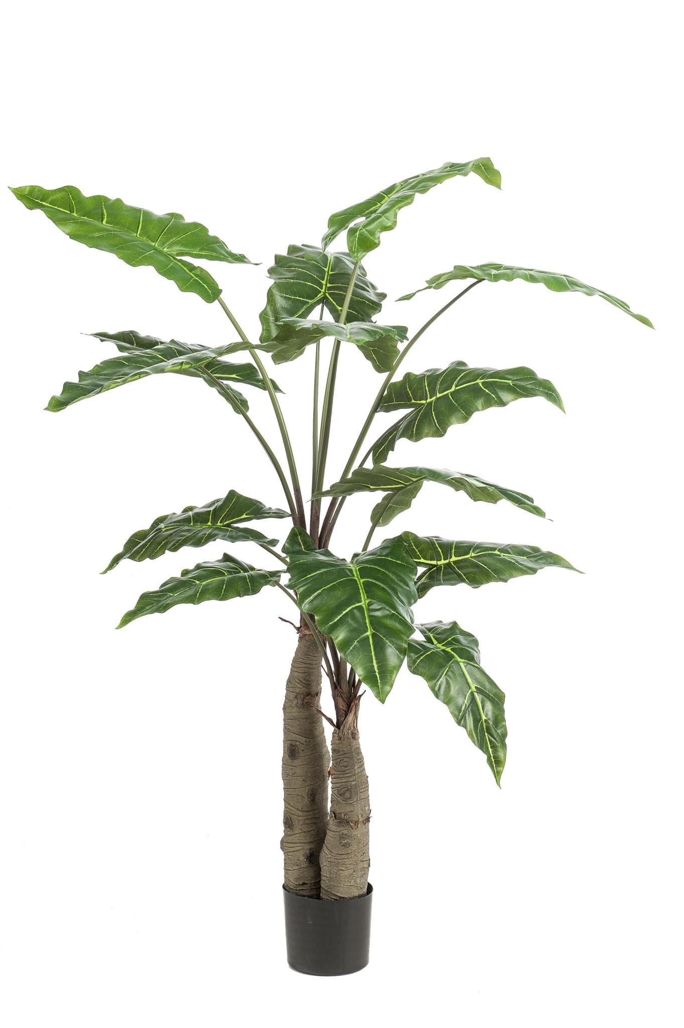 Kunstpflanze - Alocasia Frydek - 150 cm - Zimmerpflanze - künstliche Pflanzen wie echt - grüne-wurzel