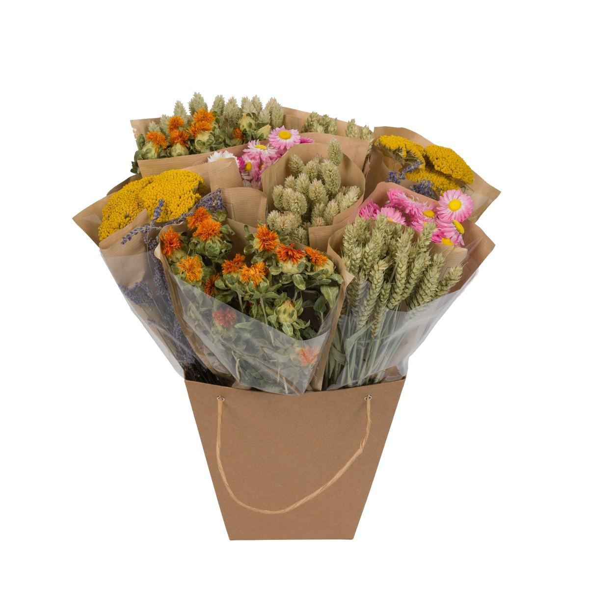 Trockenblumen Bundle - Getrockneter Mono-Mix - Holländische Vielfalt - Höhe: 50 cm - Getrocknete Blumen - Trockenblumenstrauß - grüne-wurzel