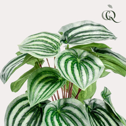 Peperomia Argyreia Kunstpflanze - Wassermelonen Peperomia - 25 cm - Zimmerpflanze - künstliche Pflanzen wie echt - grüne-wurzel