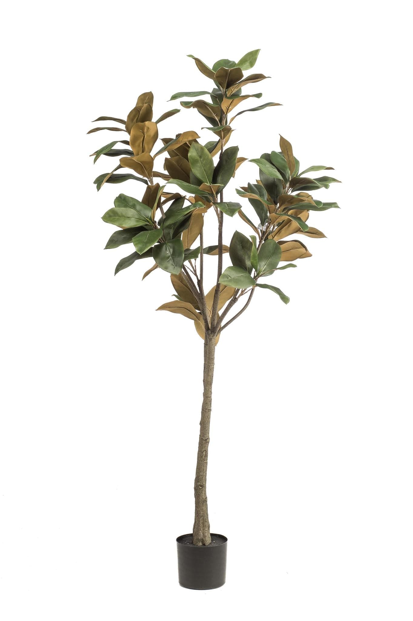 Kunstpflanze Magnolia Grandiflora - 150 cm - Zimmerpflanze - künstliche Pflanzen wie echt - grüne-wurzel