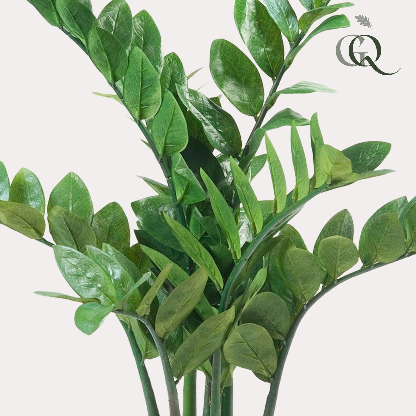 Kunstpflanze Zamioculcas - Zimmerpalme - 70 cm - Zimmerpflanze - künstliche Pflanzen wie echt - grüne-wurzel