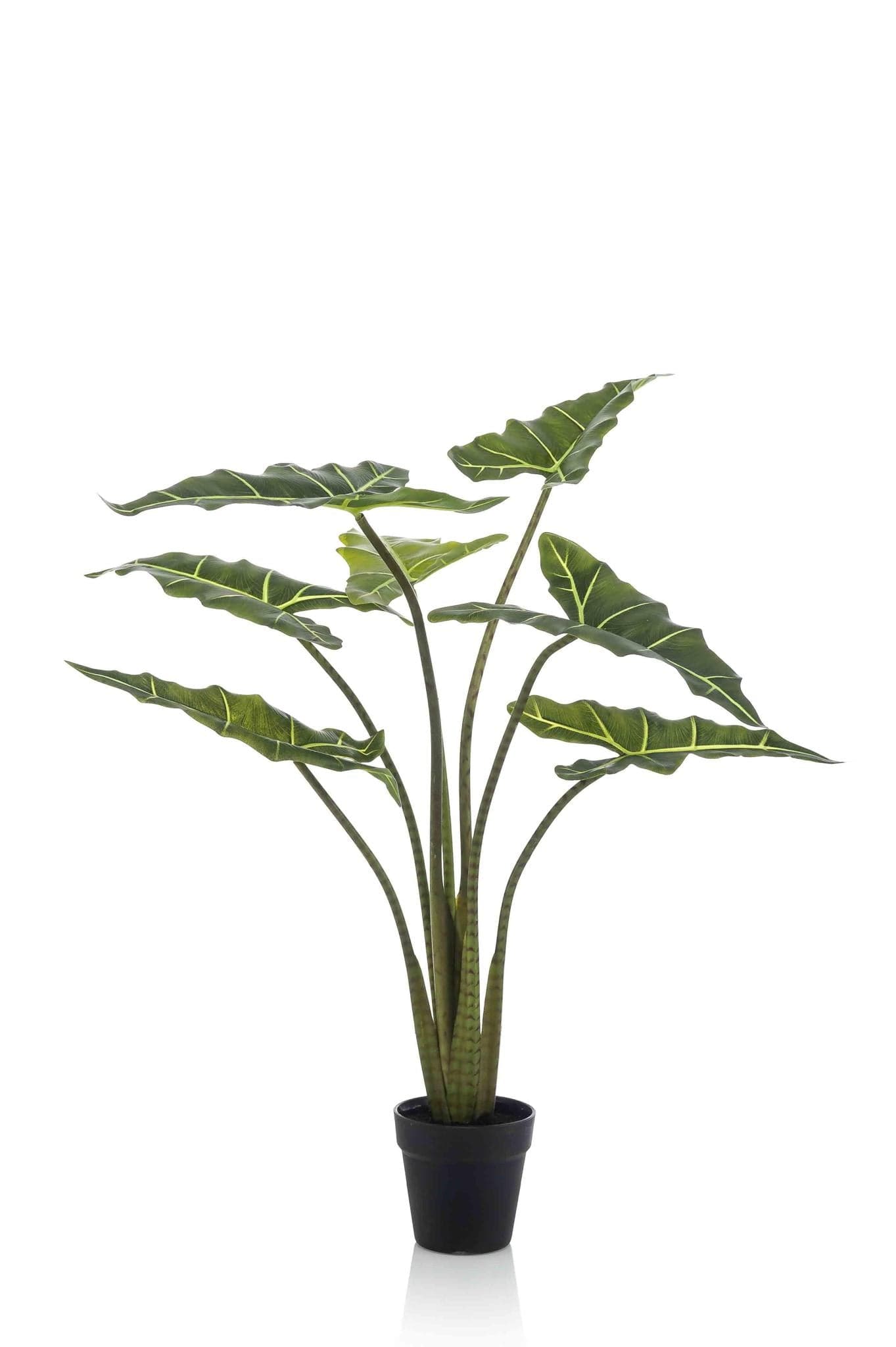 Kunstpflanze - Alocasia Frydek - 90 cm - Zimmerpflanze - künstliche Pflanzen wie echt - grüne-wurzel