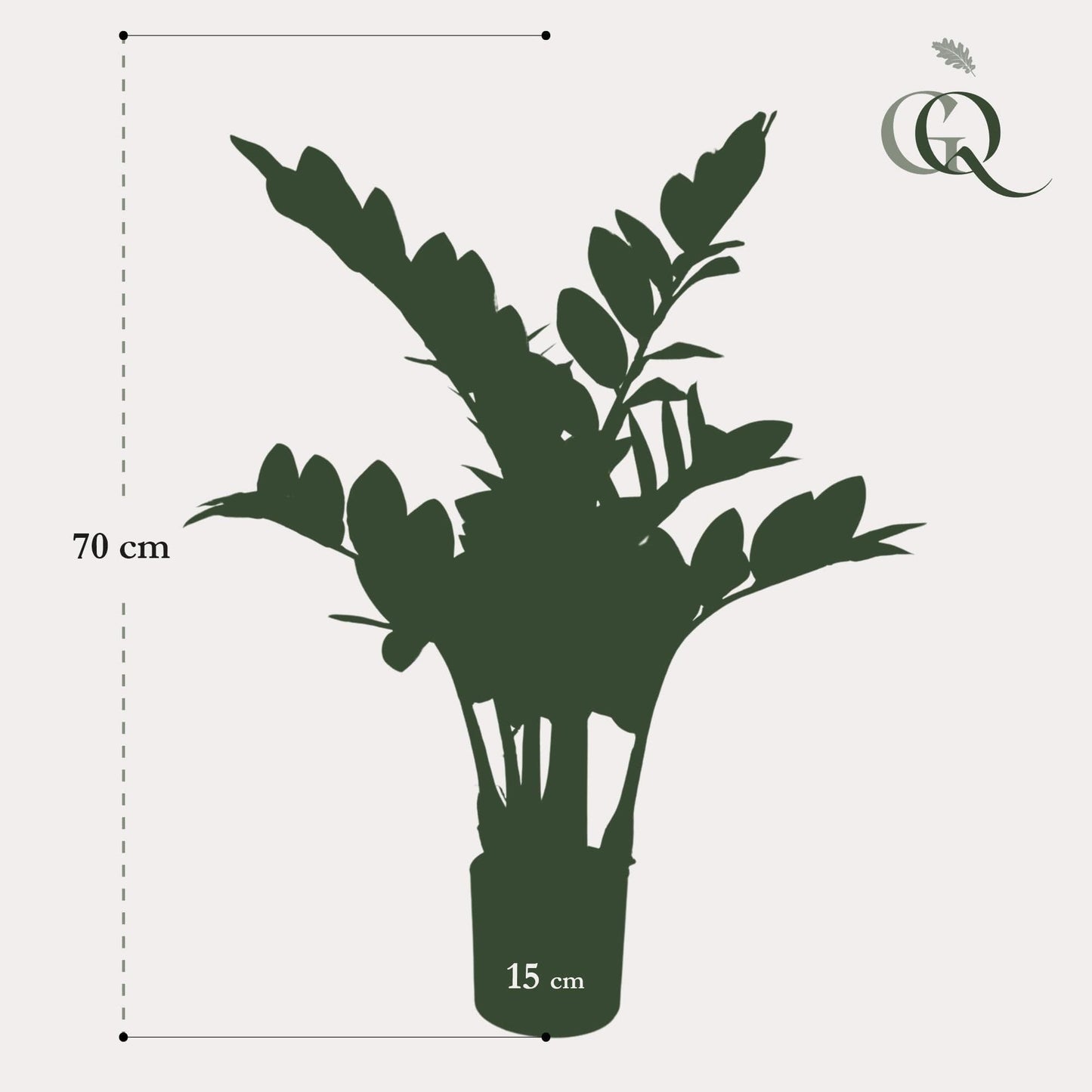 Kunstpflanze Zamioculcas - Zimmerpalme - 70 cm - Zimmerpflanze - künstliche Pflanzen wie echt - grüne-wurzel