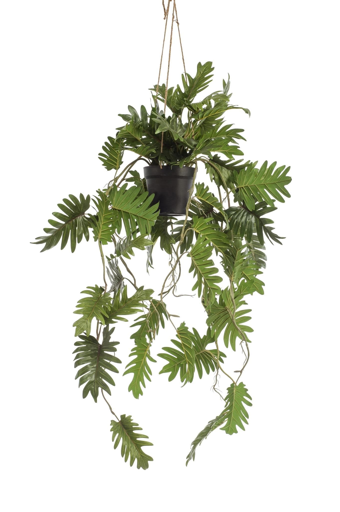 Philodendron Kunstpflanze - 80 cm - Hängepflanze - Zimmerpflanze - künstliche Pflanzen wie echt - grüne-wurzel