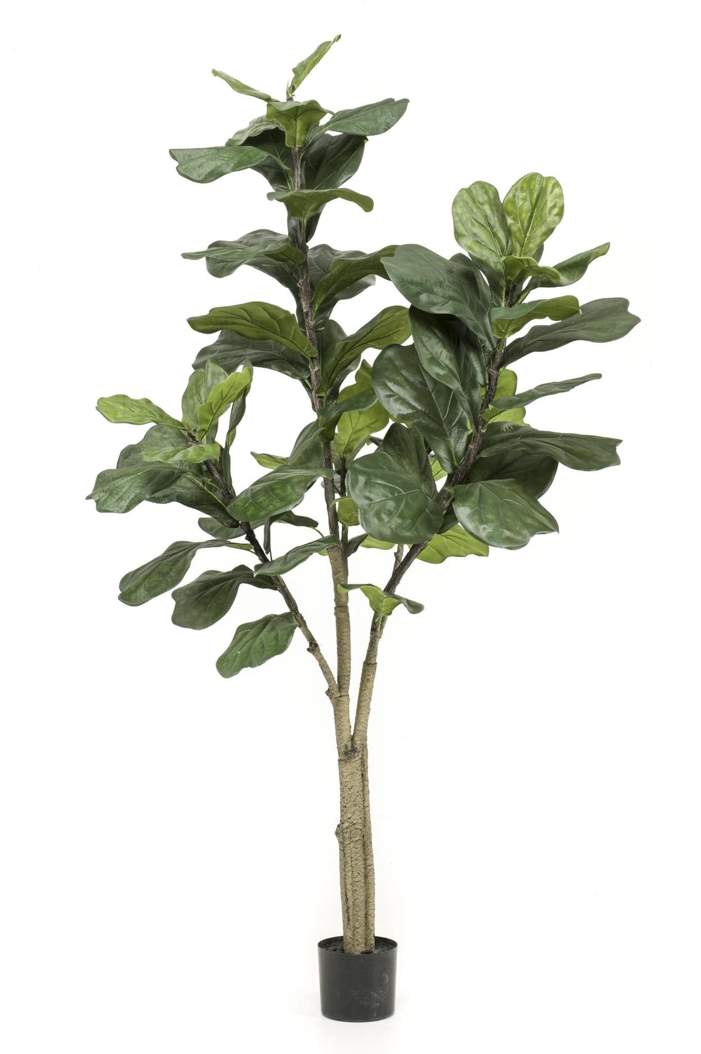 Kunstpflanze Ficus Lyrata - Tabakspflanze - 180 cm - Zimmerpflanze - Künstliche Pflanzen wie echt - grüne-wurzel