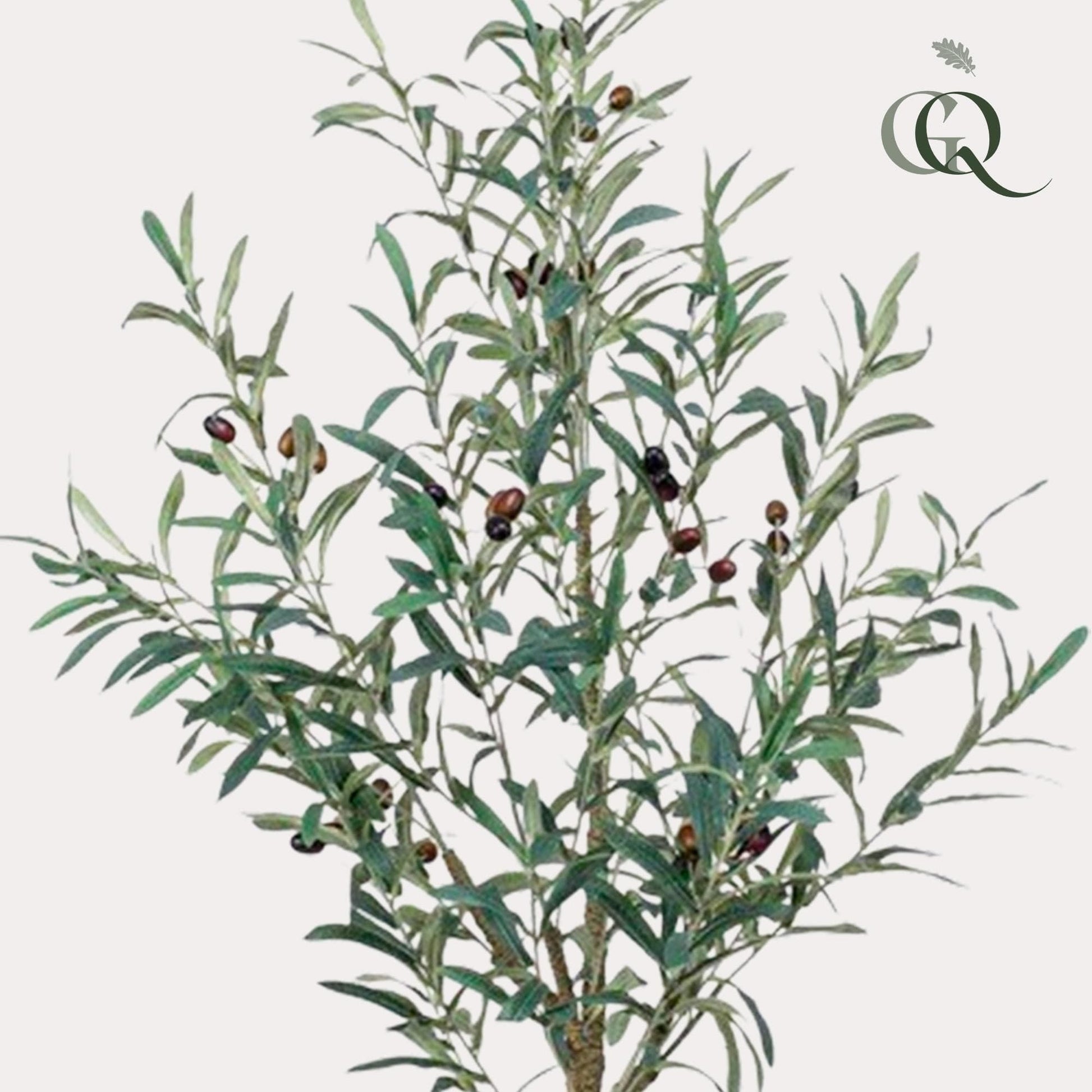 Kunstpflanze Olea europaea - Olivenbaum - 115 cm - Zimmerpflanze - künstliche Pflanzen wie echt - grüne-wurzel