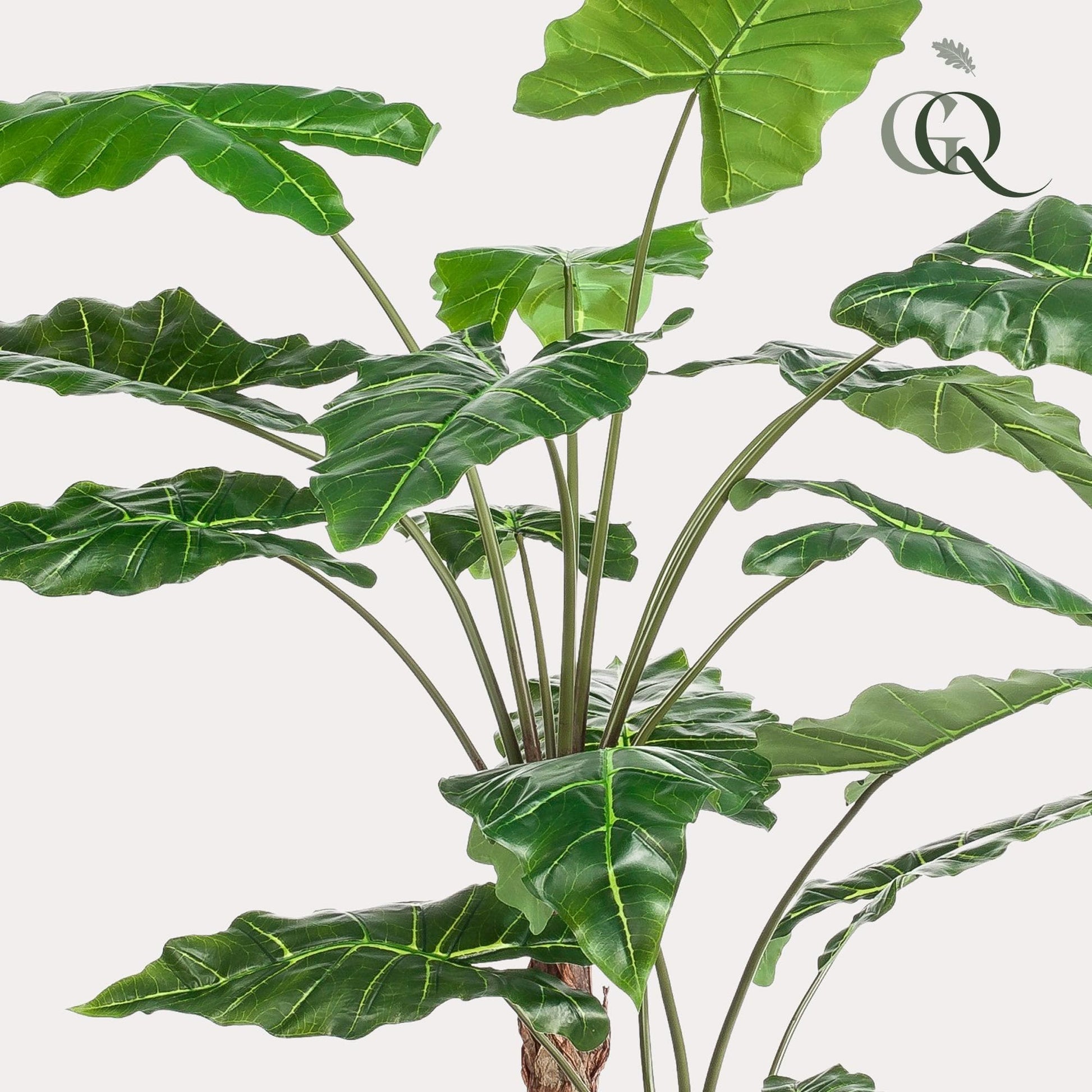 Kunstpflanze Alocasia - 180 cm - Zimmerpflanze - künstliche Pflanzen wie echt - künstliche Palme - grüne-wurzel