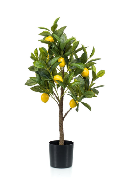 Citrus Limonia Kunstpflanze - Zitronenbaum - 72 cm - Zimmerpflanze - künstliche Pflanzen wie echt - grüne-wurzel