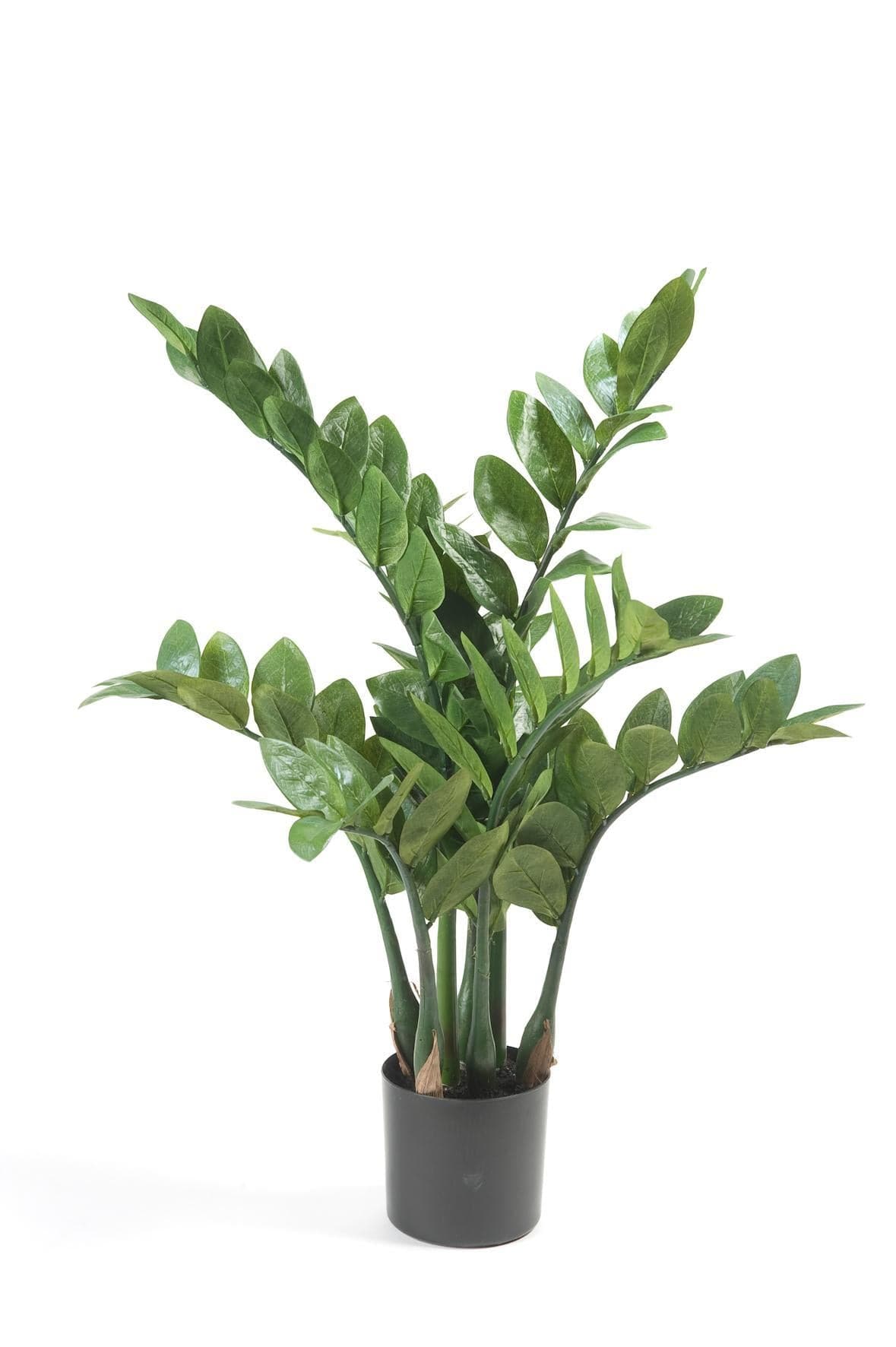 Kunstpflanze Zamioculcas - Zimmerpalme - 70 cm - Zimmerpflanze - künstliche Pflanzen wie echt - grüne-wurzel