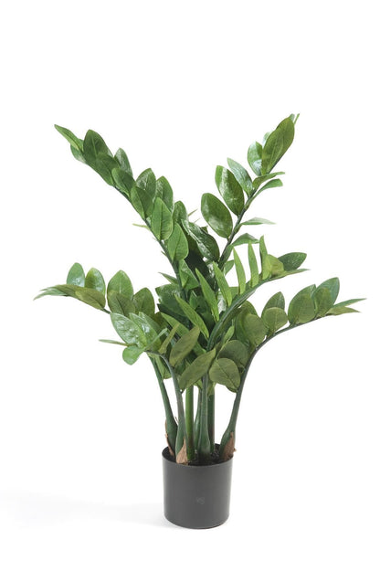 Kunstpflanze Zamioculcas - Zimmerpalme - 70 cm - Zimmerpflanze - künstliche Pflanzen wie echt - grüne-wurzel