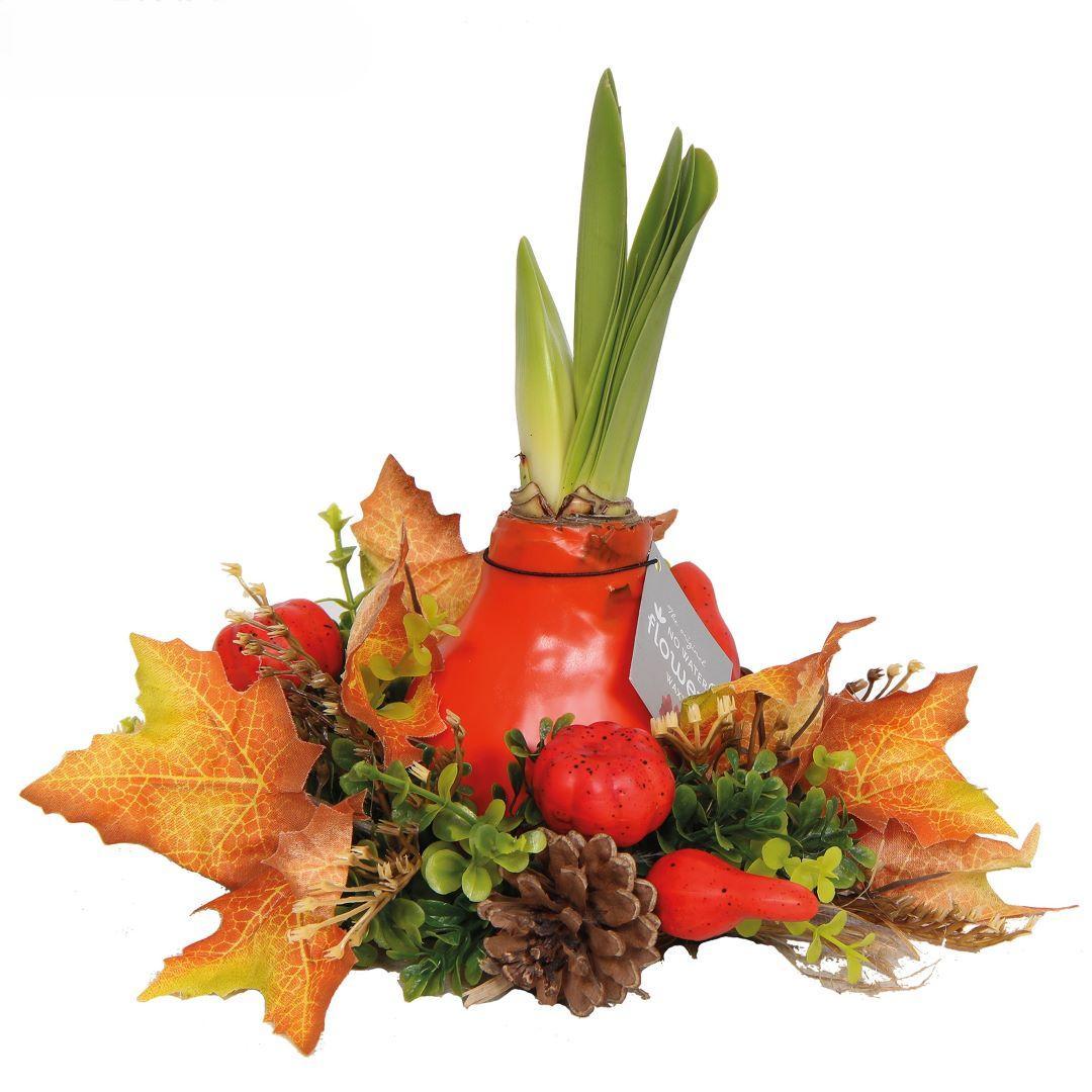 Amaryllis NoWater rote Blumen mit Herbstkranz - Pflegeleichte Blühende Zimmerpflanze mit Herbstdekoration Orange