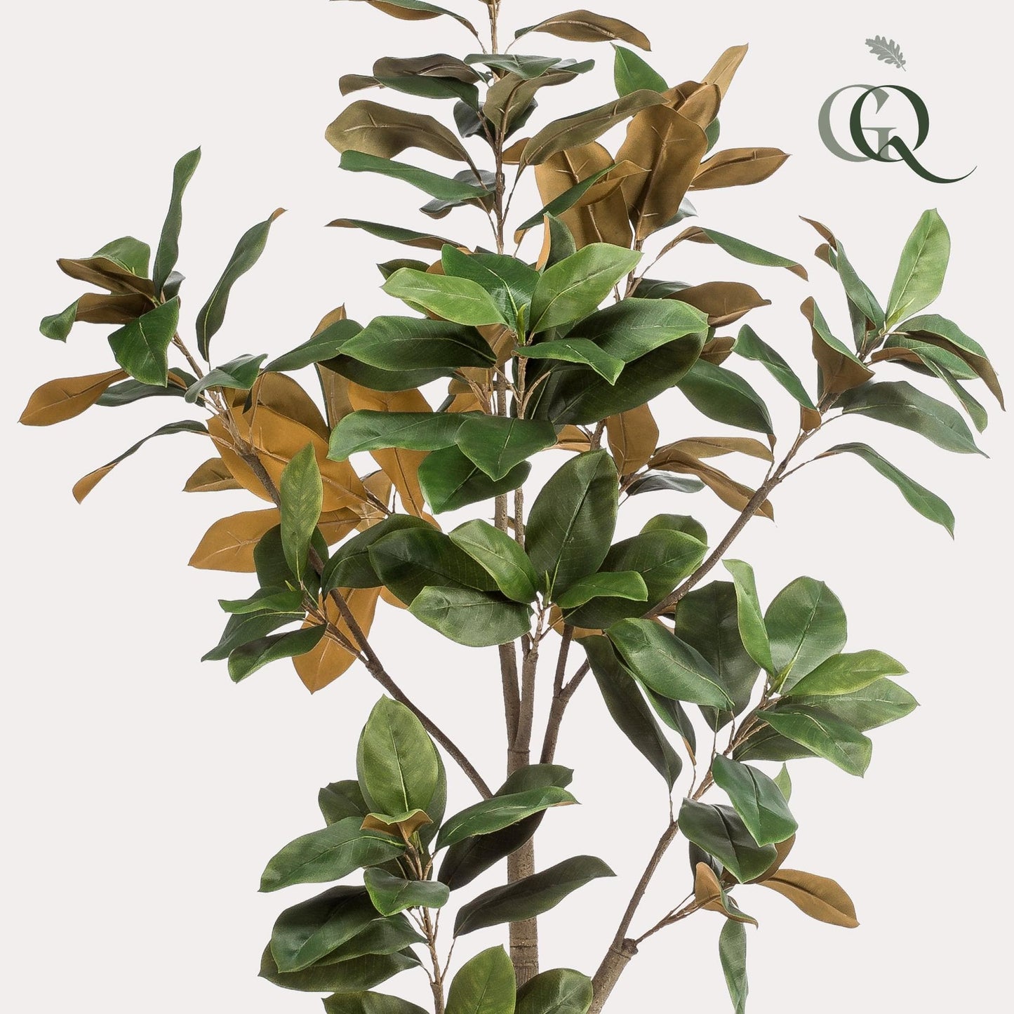 Kunstpflanze Magnolia Grandiflora - 180 cm - Zimmerpflanze - künstliche Pflanzen wie echt - grüne-wurzel