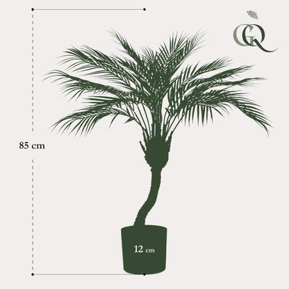 Kunstpflanze - Chamaedorea Elegans - Bergpalme - 85 cm - Zimmerpflanze - künstliche Pflanzen wie echt - grüne-wurzel