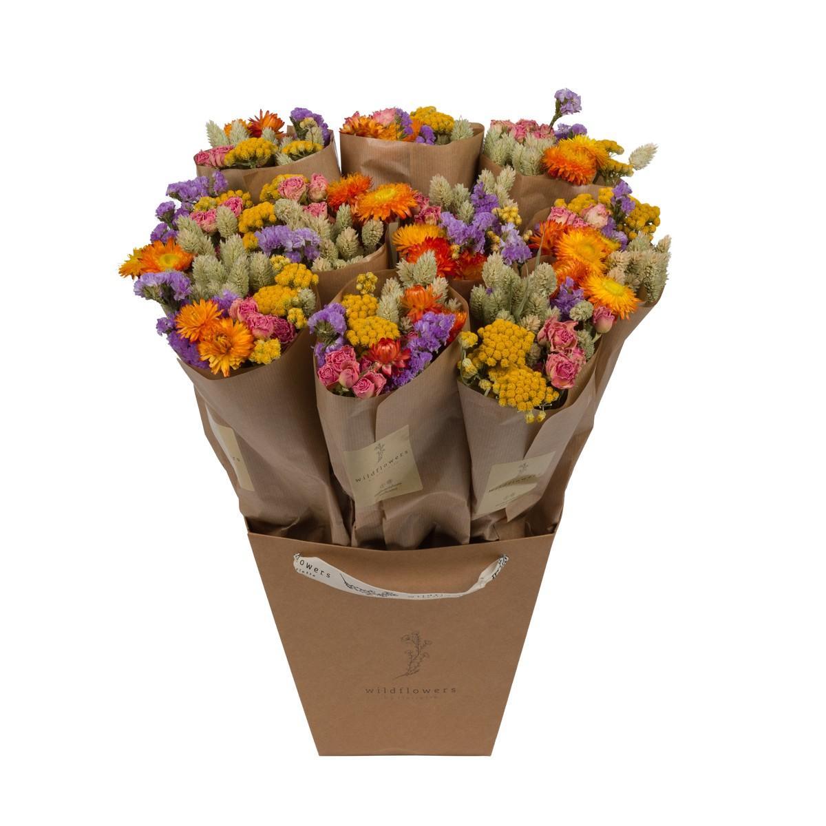 Trockenblumen - Market More Multi Bundle - Höhe: 50 cm - Getrocknete Blumen - Trockenblumenstrauß - grüne-wurzel