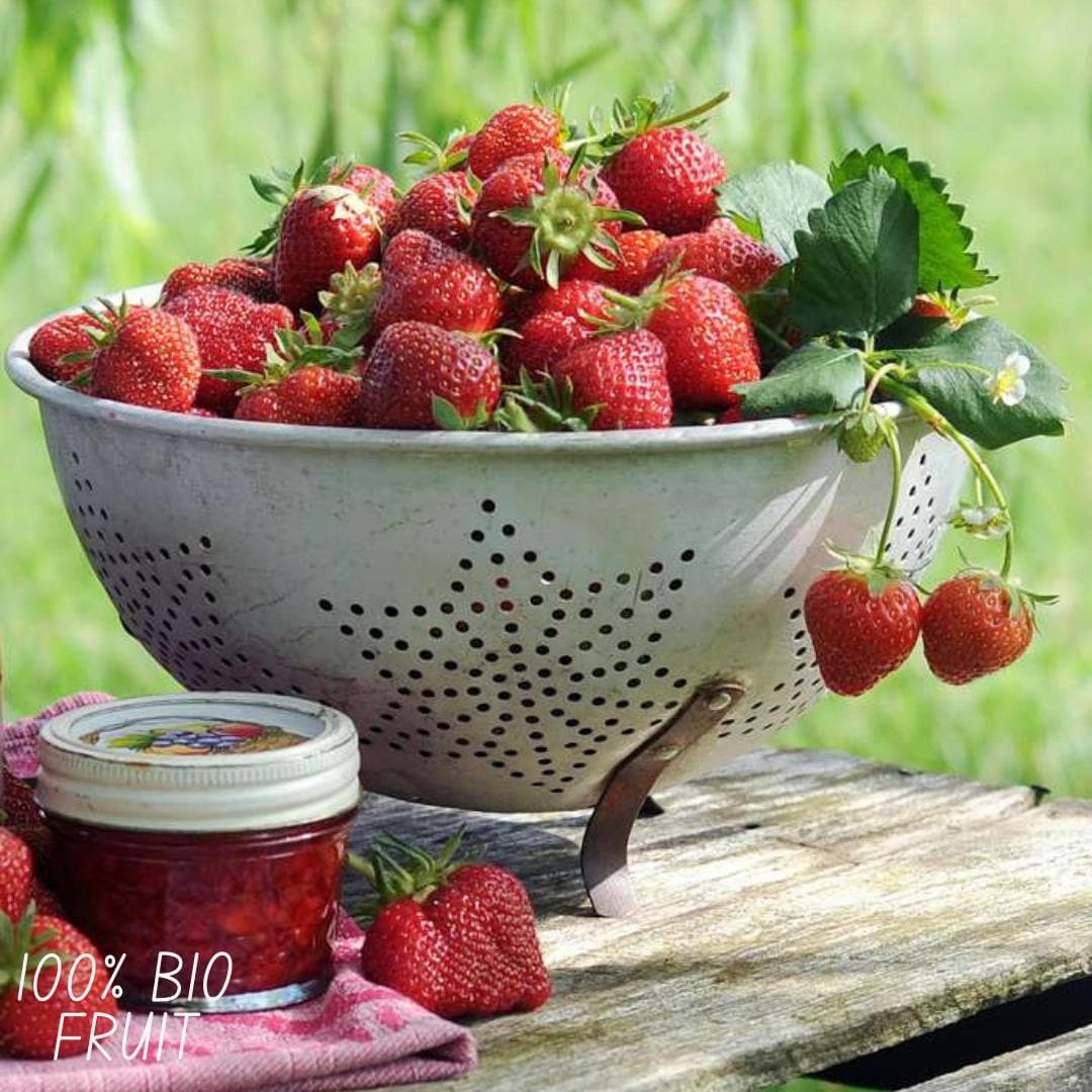 BIO Erdbeerpflanzen Set - Fragaria - 3 Pflanzen - Ø13 cm - Gartenpflanze - grüne-wurzel