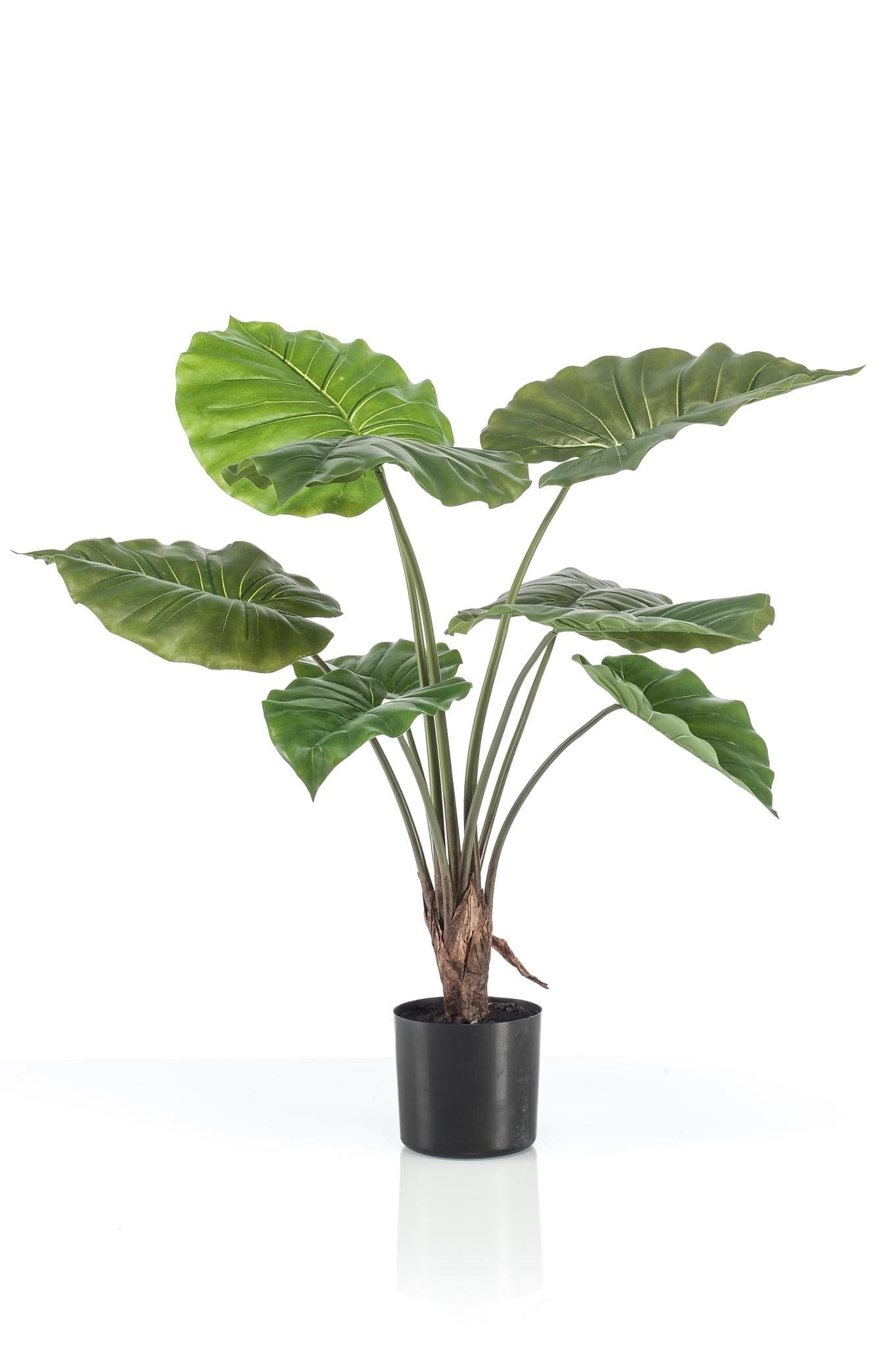 Kunstpflanze - Alocasia Frydek - 70 cm - Zimmerpflanze - künstliche Pflanzen wie echt - grüne-wurzel