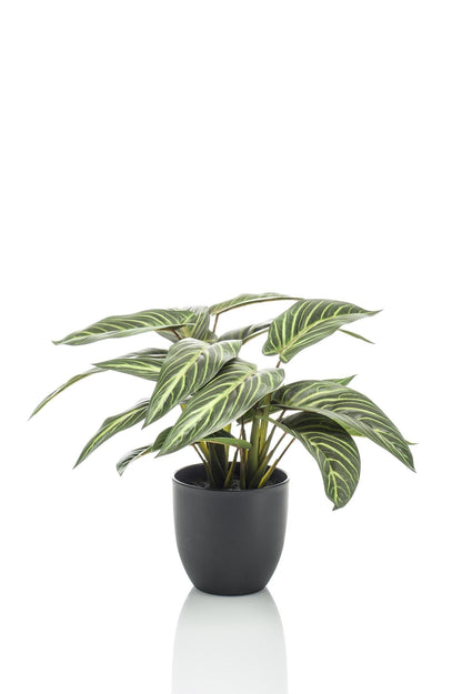 Calathea Zebrina Kunstpflanze - 38 cm - Zimmerpflanze - künstliche Pflanzen wie echt - grüne-wurzel