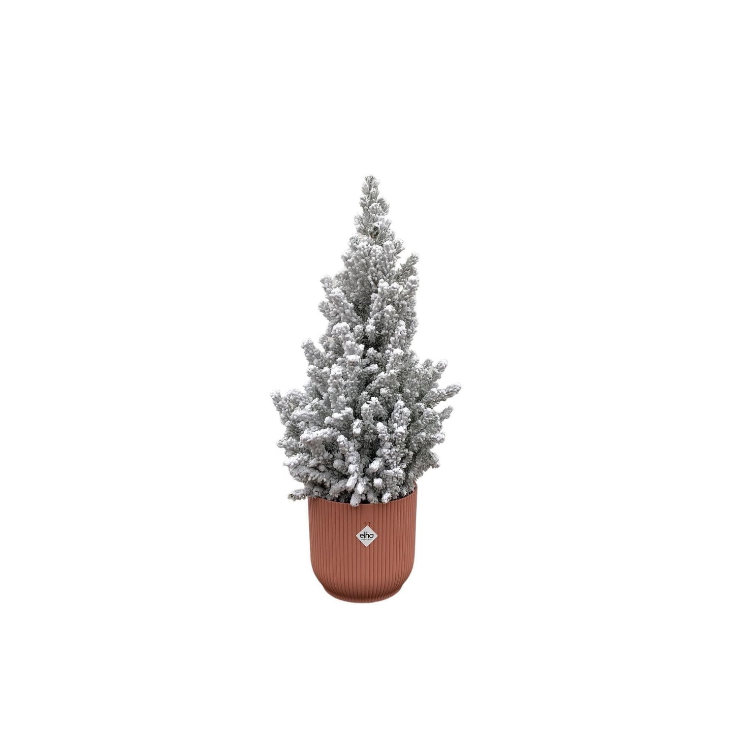 Picea Glauca Snow Covered with Elho Vibes Fold Pot Blue - Ø22cm, 60cm Houseplant Decoration