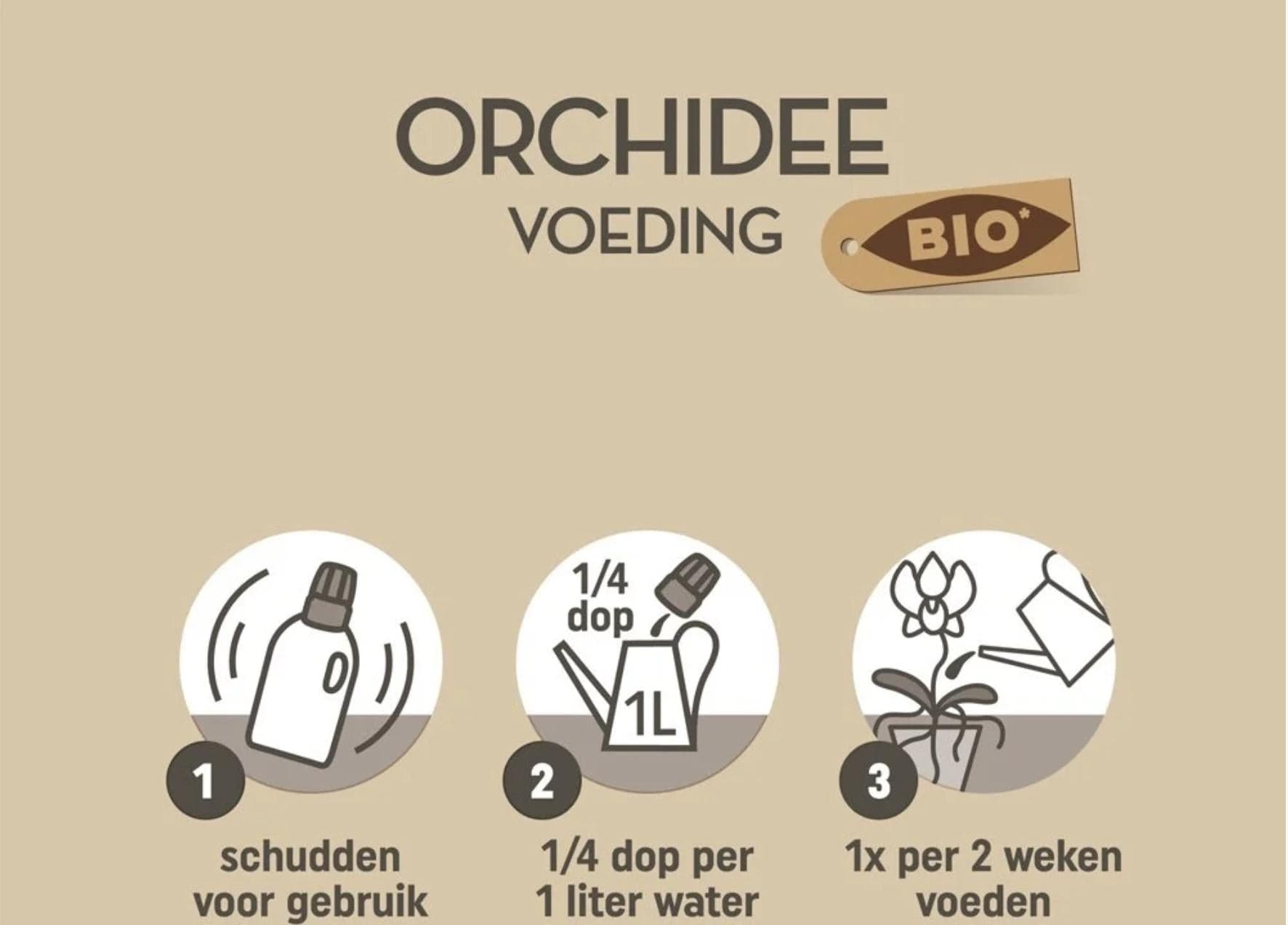 Pokon Bio Orchideenfutter - Pflanzendünger für Zimmerpflanzen - 250 ml - grüne-wurzel